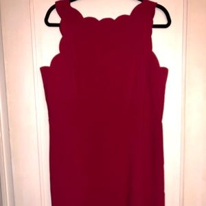 Scalloped Ann Taylor Loft Dress size 14 Petite